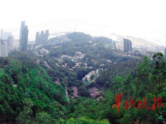 深圳生态控制线内现天价别墅群 或侵占城市绿肺