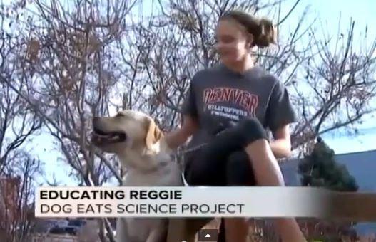 ͼƬ����̨�嶫ɭ������