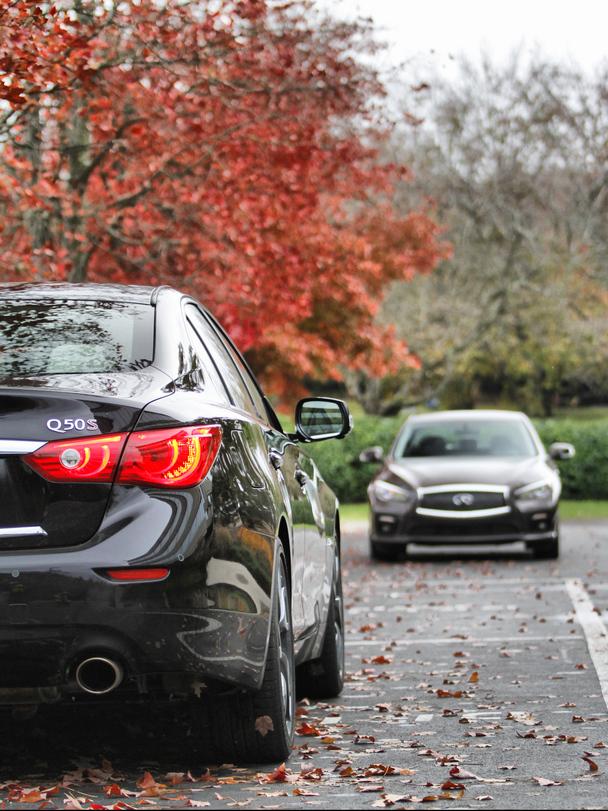 ���������Լ�Ӣ�����Q50