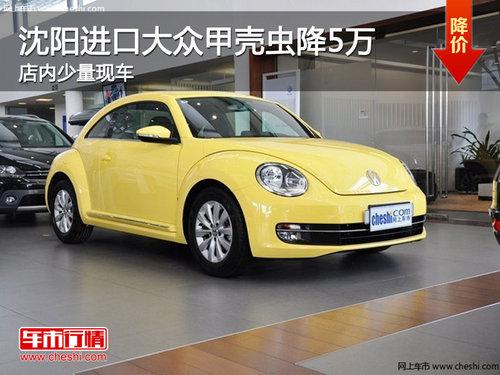 �������ڴ��ڼ׿ǳ潵5�� ���������ֳ�