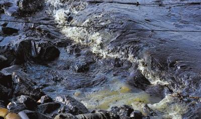 东黄输油管道泄漏追踪 浮油随波上岸风顺正好清污(3)