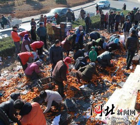 唐山货车侧翻 35吨鲜桔遭哄抢 所剩无几