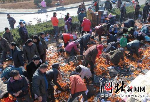 唐山货车侧翻 35吨鲜桔遭哄抢 所剩无几