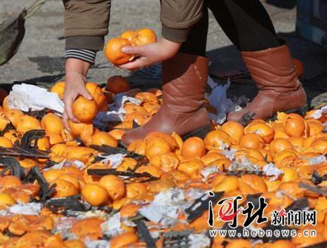 唐山货车侧翻 35吨鲜桔遭哄抢 所剩无几