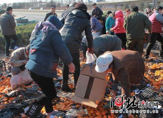 唐山货车侧翻 35吨鲜桔遭哄抢 所剩无几