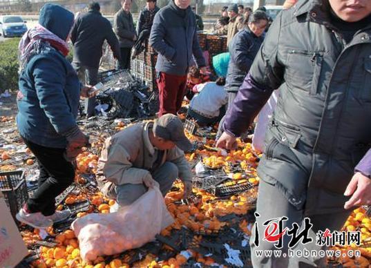 唐山货车侧翻 35吨鲜桔遭哄抢 所剩无几