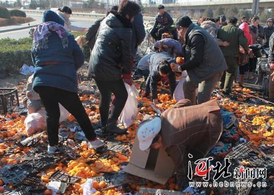 唐山货车侧翻 35吨鲜桔遭哄抢 所剩无几