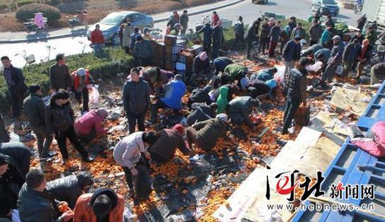 唐山货车侧翻 35吨鲜桔遭哄抢 所剩无几