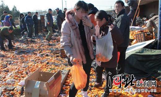 唐山货车侧翻 35吨鲜桔遭哄抢 所剩无几