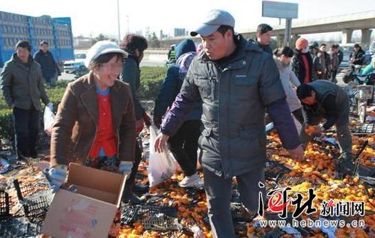 唐山货车侧翻 35吨鲜桔遭哄抢 所剩无几
