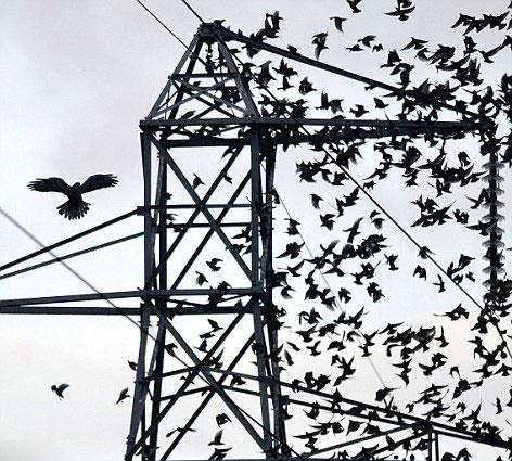 ������ͼ��Ӣ�������Ǩ�� ��Ϣ��ѹ���¶ϵ硾9��