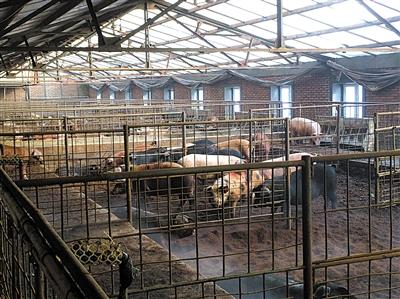 牡丹江地税:拥豪华别墅建农场吃特供