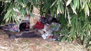 89�������Ͼ����ּ�����Ϊ�� ֻΪ��ȶ��ӹ���