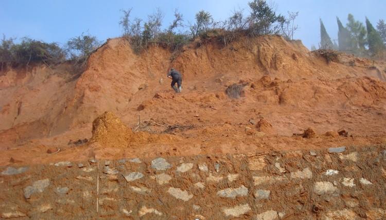 井冈山一砖厂墓地旁挖土 毁坏村民祖坟