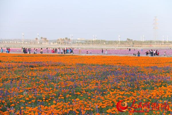 ���Ƿ�˻���