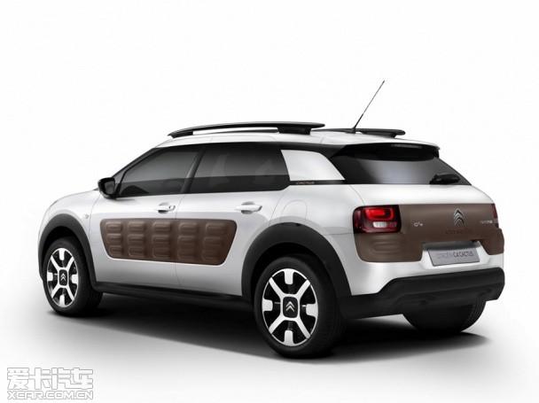 ѩ����C4 Cactus�������ͼ