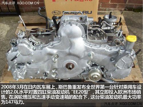 ˹�Ĳ�ʧҰ�� ����Ʒζ˹��³ȫ����ʨ