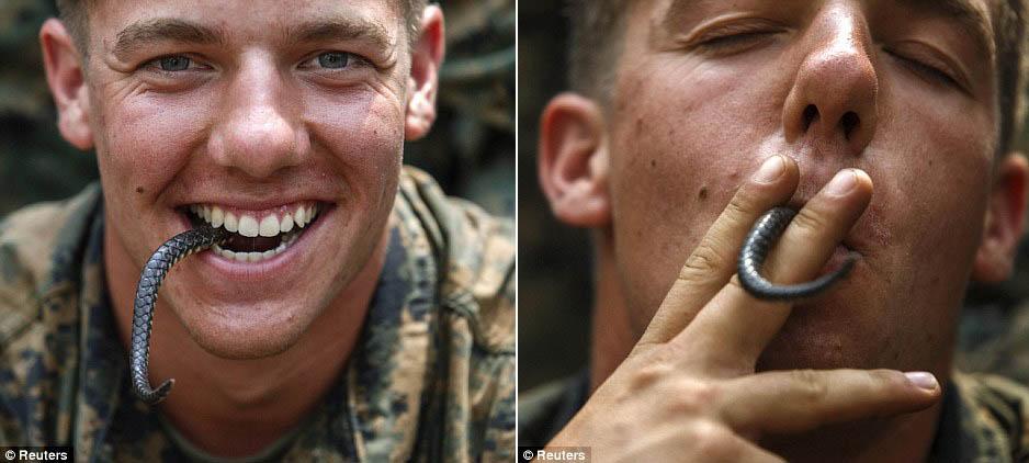 ����Ѫ����Ы�� ����������½ս����ν�������ѵ��