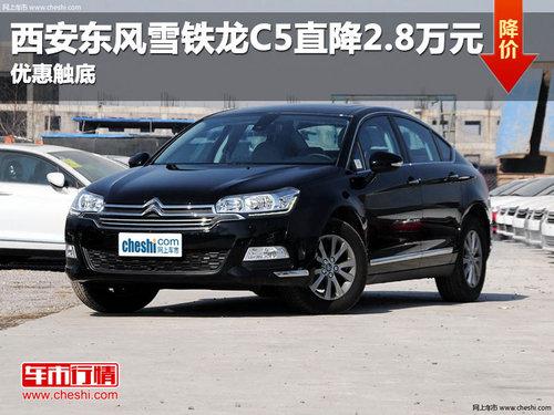 ��������ѩ����C5ֱ��2.8��Ԫ �Żݴ���