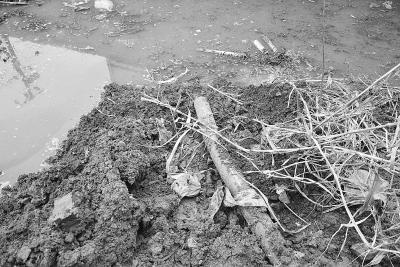 �ھ�������ӵ��ڶ���Ȼ���ܵ� 100�����ͣ��