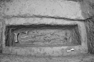 ����У԰���̴���Ĺ����ʬ�ǲк� Ĺ�����ǹ���