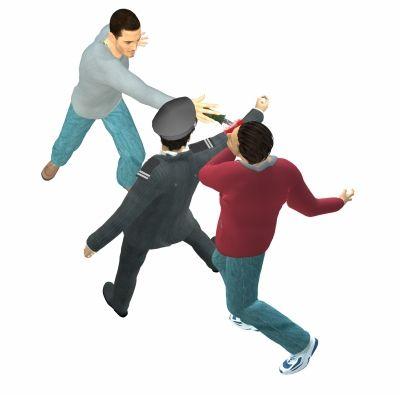 �ֳ�ģ��ͼ ���� ��Ҷ ��ͼ