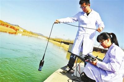 进京江水投放青鳉鱼监测生物毒性