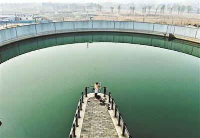 进京江水投放青鳉鱼监测生物毒性