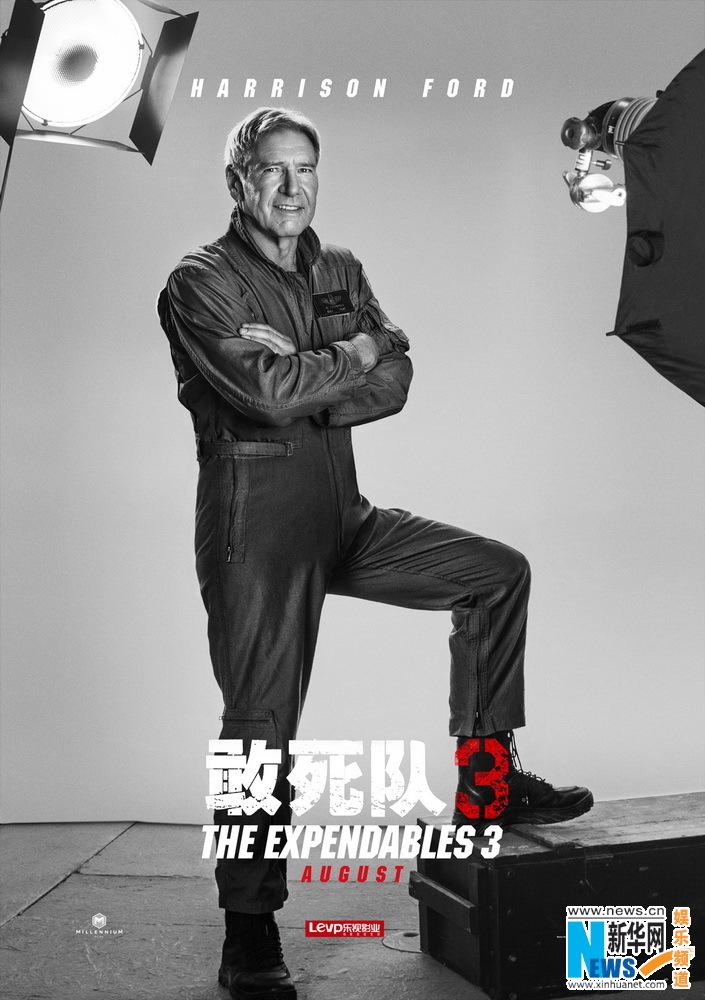 敢死队3硬汉正义联盟把伤疤当勋章组图5