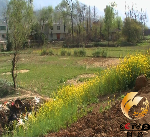 ���������칫¥�����������Ƿ����Ļ�������