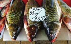 ��Ʒ��¬���͸������ֻ��ұ�ۡ�