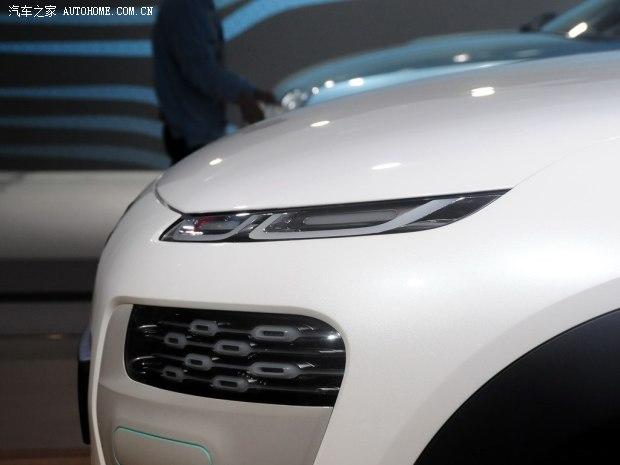 ѩ����ѩ����(����)Cactus2014�� ������