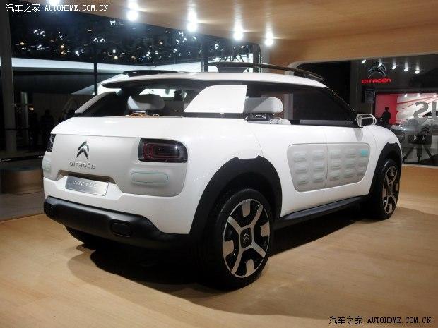 ѩ����ѩ����(����)Cactus2014�� ������