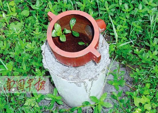 Ϊ��ȡ���������