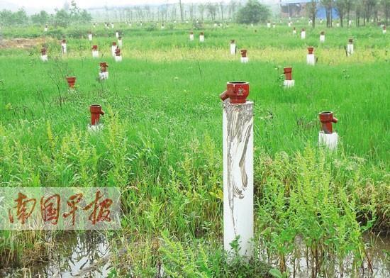 Ϊ��ȡ���������