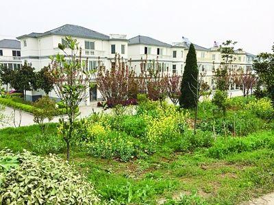 太湖边的这些安置房,不少看起来很有档次,如同别墅一样。