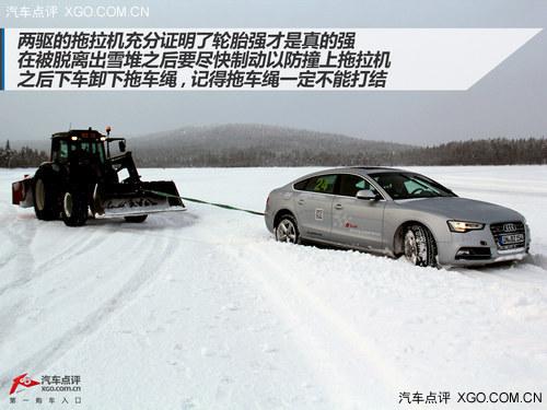 ��Ử�������� �µϱ�ѩ�������վ