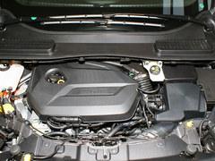 �����ֳ�����ɫȫ �û���߲���1.25��