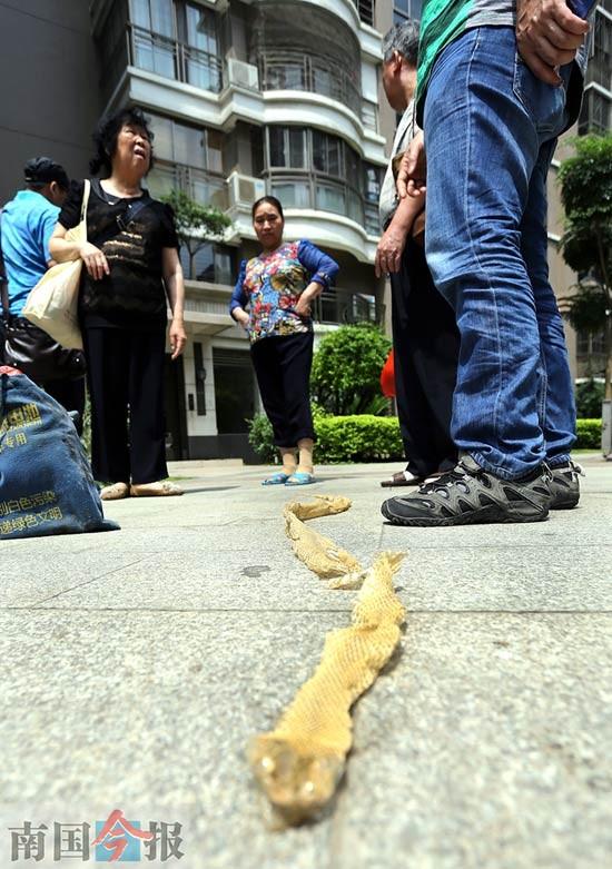 ���ڿ�����Ƥ��������ס�� �����߽���Ҫע�⼸��