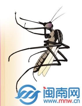 蚊子爱叮5类人2