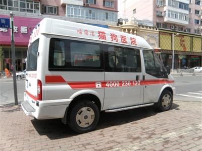 哈尔滨一宠物医院开设猫狗120急救车 配医生护士