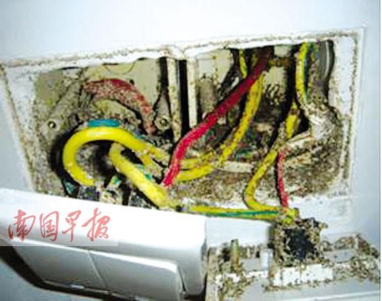 ���������������� �ֽ������Ҳ�ᱻ������ʴ(ͼ)