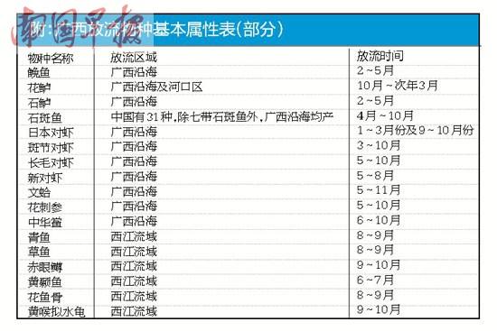 �������淶����� �������ɱ����ͱ������