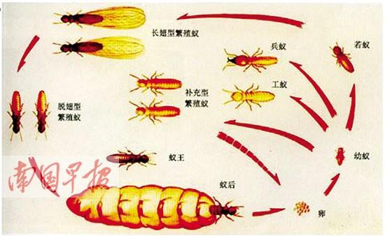 ���������������� �ֽ������Ҳ�ᱻ������ʴ(ͼ)