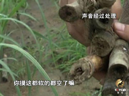 ��ҩ���պڵĸ���