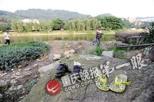 �����޾�ʾ��ʶ 12���к���������Ϳɽ������