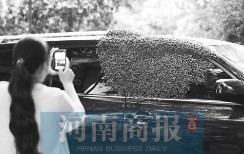 ֣��һ˽�ҳ��ܵ�����ֻ�۷��� ���������(ͼ) 