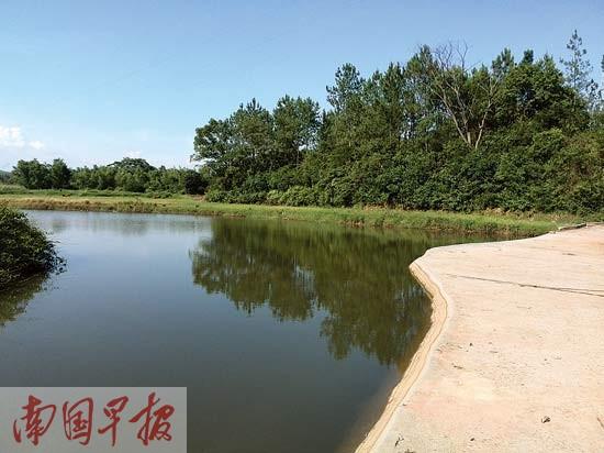 ����18����׶�԰������ʦ����ˮͬ�� ��������