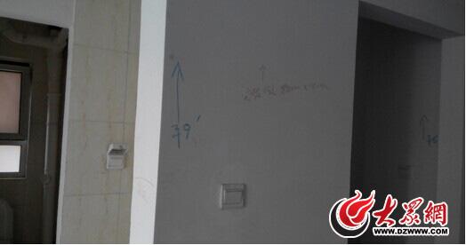 �����ݶ������·����������������