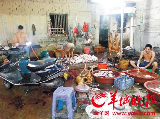 ���������г�����һƫƧ���׳�